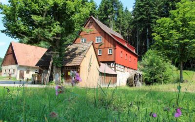 Blühende Wiesen und Mühlen im Rottal – mit dem E-Bike durch den Welzheimer Wald