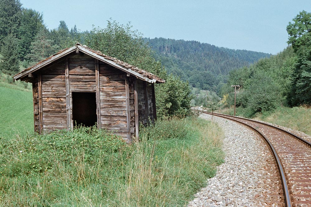 Historisches Bild der Blockhütte im Schandental