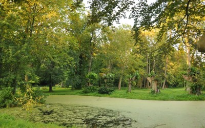 Ein wundersamer Ort – der Schlosspark Pansevitz