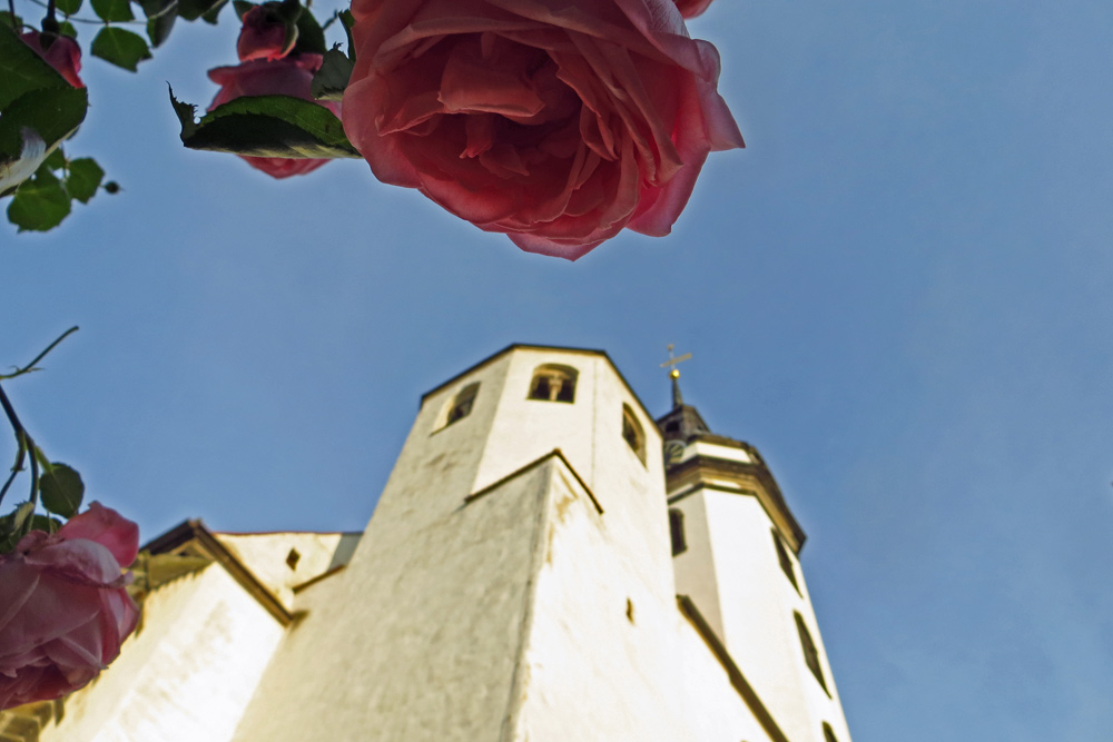 Stadtkirche St. Marien – wie hat Katharina von Bora es hierher geschafft?