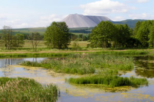 Naturschutzgebiet Dankmarshäuser Rhäden in Thüringen mit Blick auf den Monte Kali in Hessen