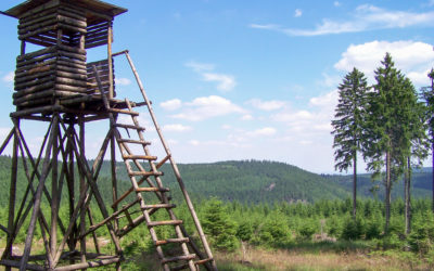 Kulturlandschaftspflege durch Jagd in Thüringens südlichstem Forstamt