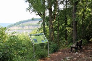Wanderung Naturschutzgebiet Steinbruch Hörnle-Jusenberg bei Neuffen