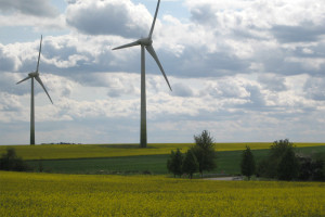 Windkraft, Wustermark, Stelling, Rapsfeld