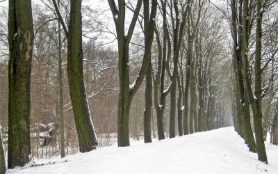 Winterwanderung im Schlosspark Branitz