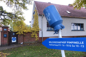 Der Milchschafhof Pimpinelle in Quappendorf in der Nähe von Neuhardenberg im Oderbruch produziert Milch, Käse, Wurst und Fleisch sowie Wolle und Felle.
