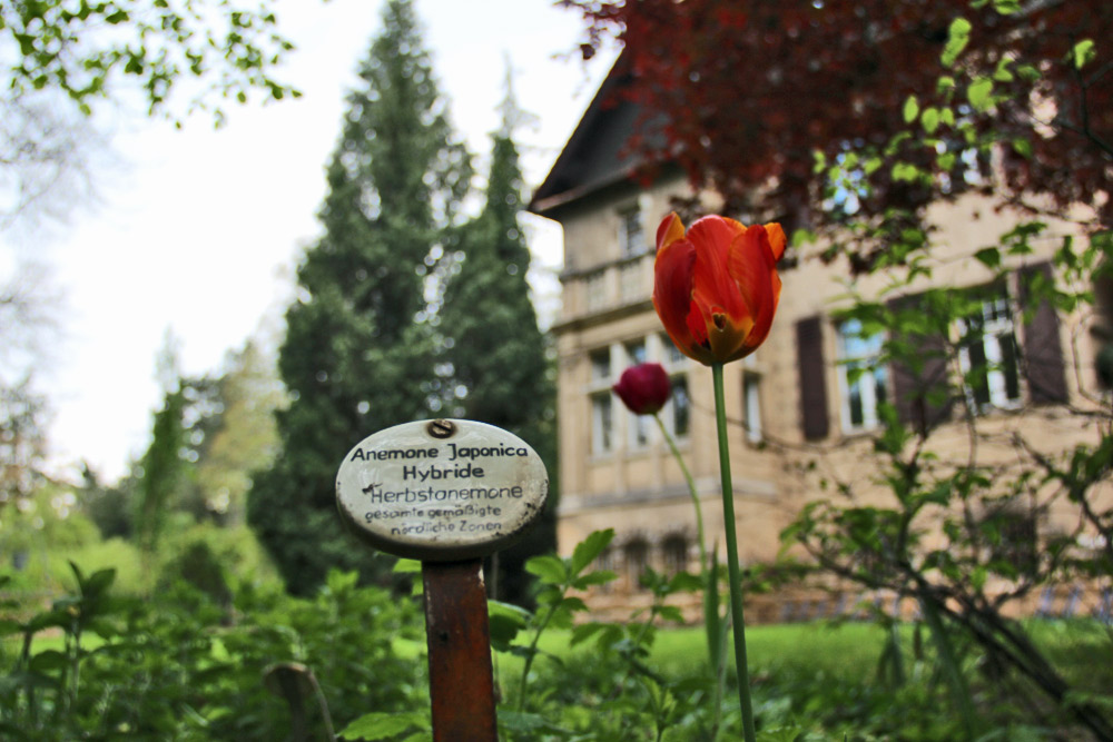 Innere Versenkung im Botanischen Garten in Herzberg