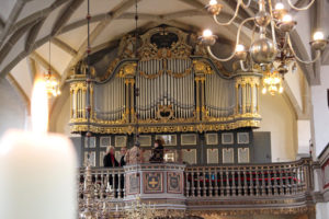 Orgel der Trinitatiskirche Finsterwalde