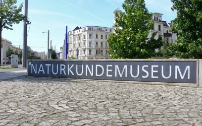 Tagebuch der Region Leipzig – das Naturkundemuseum