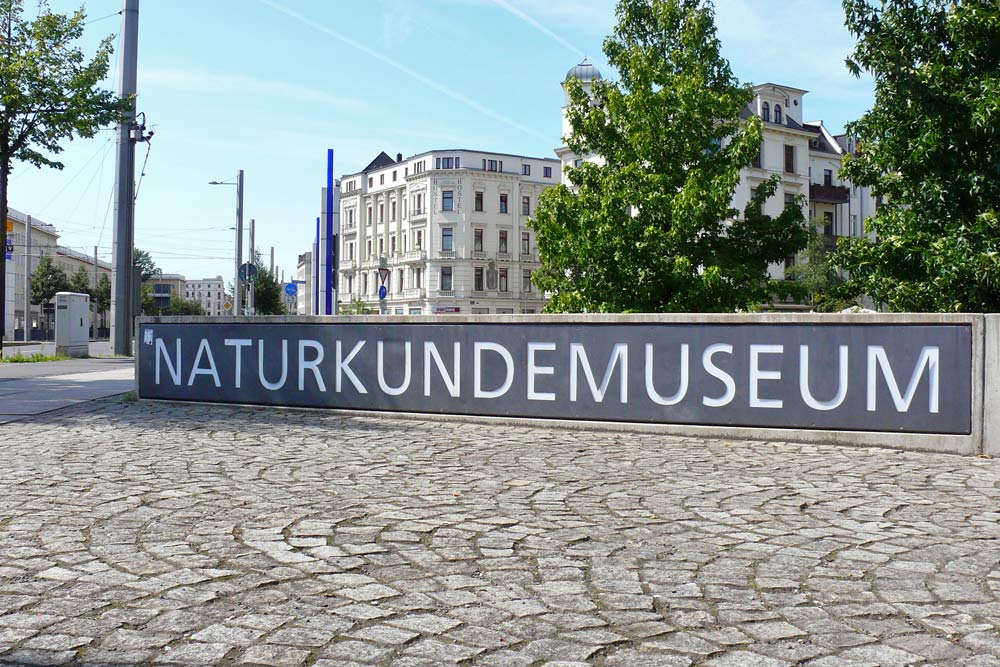 Tagebuch der Region Leipzig – das Naturkundemuseum