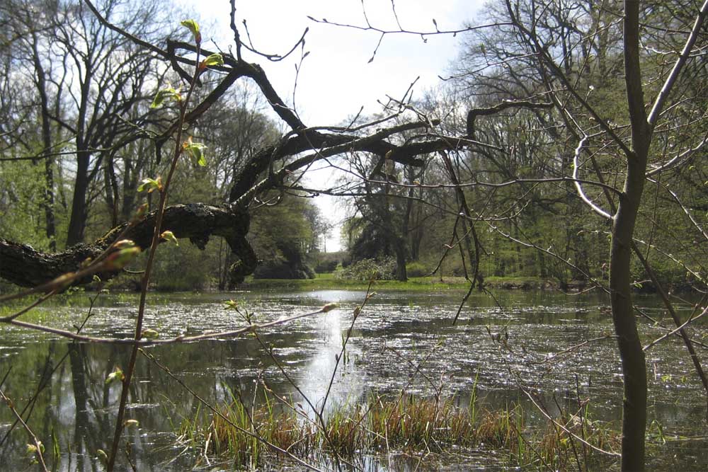 Zauber auf den zweiten Blick – Schlosspark Rothenburg an der Neiße