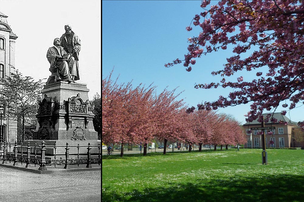 Wo ist nur der Luther hin? Der Johannisplatz und seine einstige Bebauung