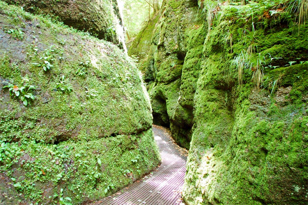 Drachenschlucht und Landgrafenschlucht – moosige Erlebniswanderung um Eisenach