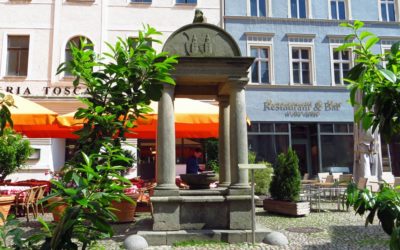 Es tropft und rauscht, es gluggert und fließt – das Röhrwasser von Lutherstadt Wittenberg