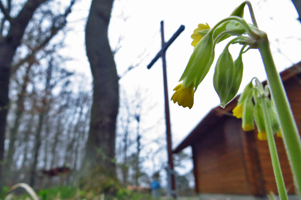 Eine Zeit innerer und äußerer Ruhe – Pilgerweg Loccum – Volkenroda