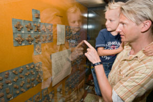 Vater und Kind beim Betrachten der Dauerausstellung im Friedrich-Fröbel-Museum