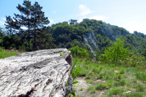 Felswand in der Gipskarstlandschaft auf dem Karstwanderweg im Südharz