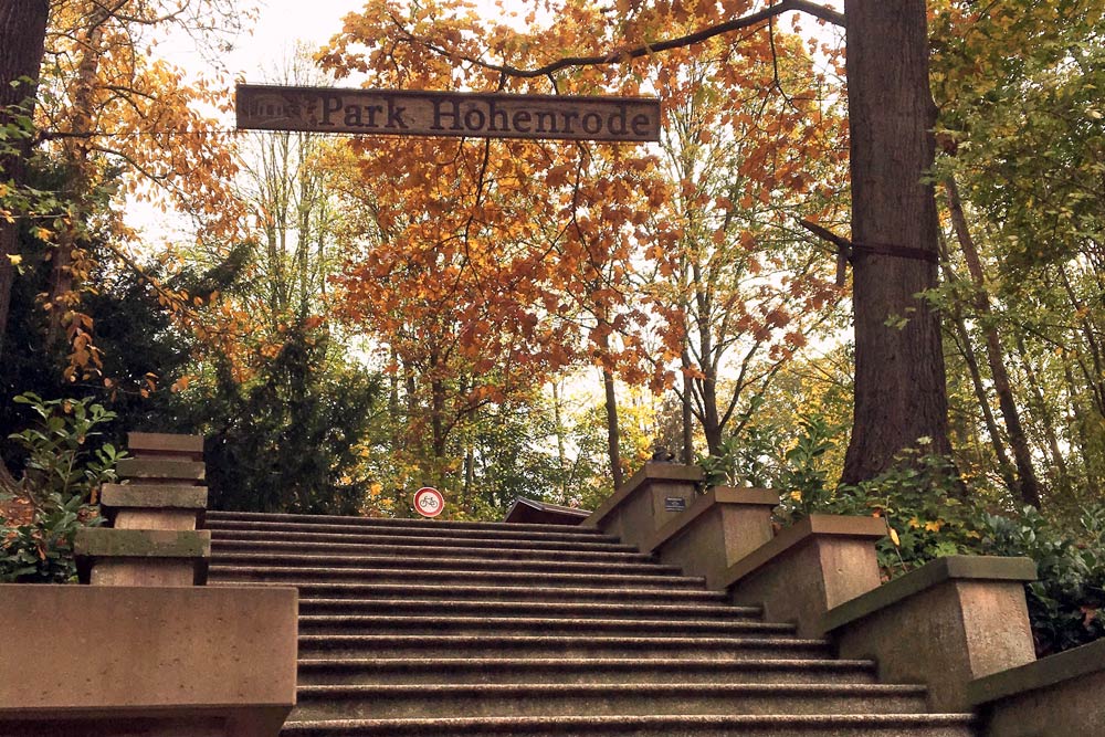 Treppe im Park Hohenrode Nordhausen